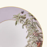 haviland le br sil dinner plate round 28cm