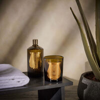 Joséphine Candle 270g trudon jos phine candle 270g