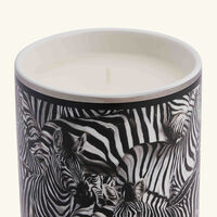 Lychee and Mulberry Candle dolce gabbana casa lychee and mulberry candle