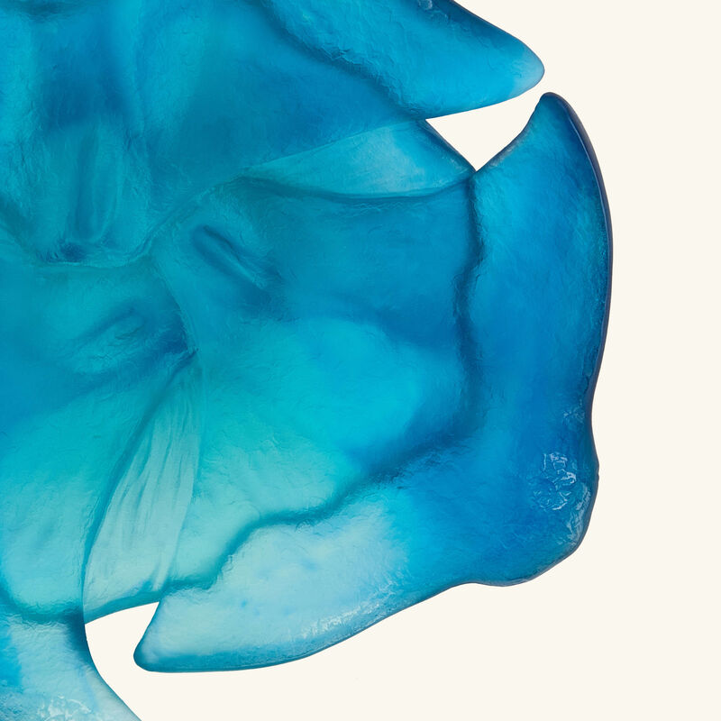 دوم وعاء مايا رايز أزرق