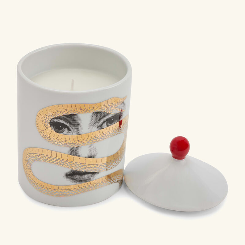 fornasetti frutto proibito candle 310g