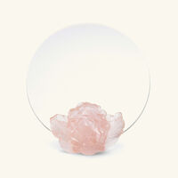 daum camellia mirror