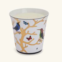 Aux Oiseaux Candle bernardaud aux oiseaux candle