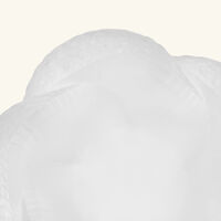 وعاء سيربان شفاف لاليك وعاء سيربان شفاف