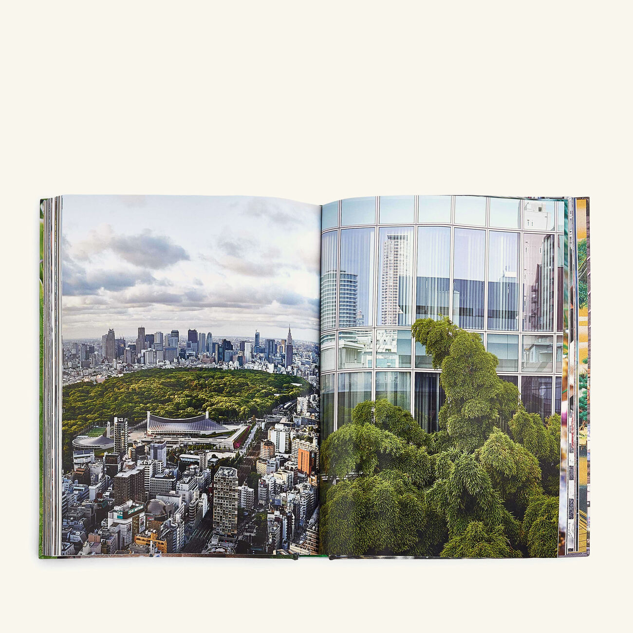 آسولين كتاب طوكيو شيك 25x33 سم