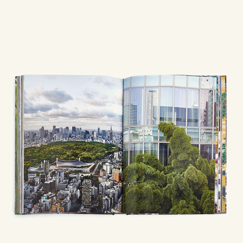 آسولين كتاب طوكيو شيك 25x33 سم