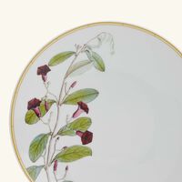 bernardaud jardin indien bread   butter plate round green 16cm