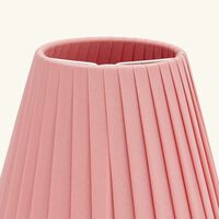 baccarat z nith lampshade