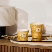 baobab collection dove candles max 10