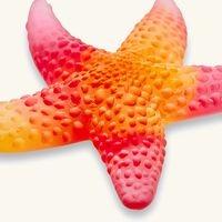Mer de Corail Starfish Figurine Mini Yellow daum mer de corail starfish figurine mini yellow