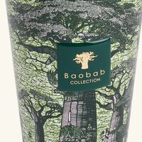 baobab collection sacred trees touba diffuser 500ml
