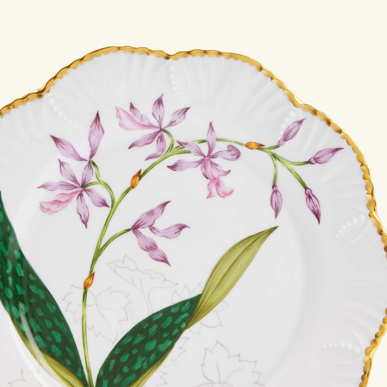 pinto paris histoires d orchidees dinner plate round green 26cm