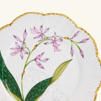 pinto paris histoires d orchidees dinner plate round green 26cm