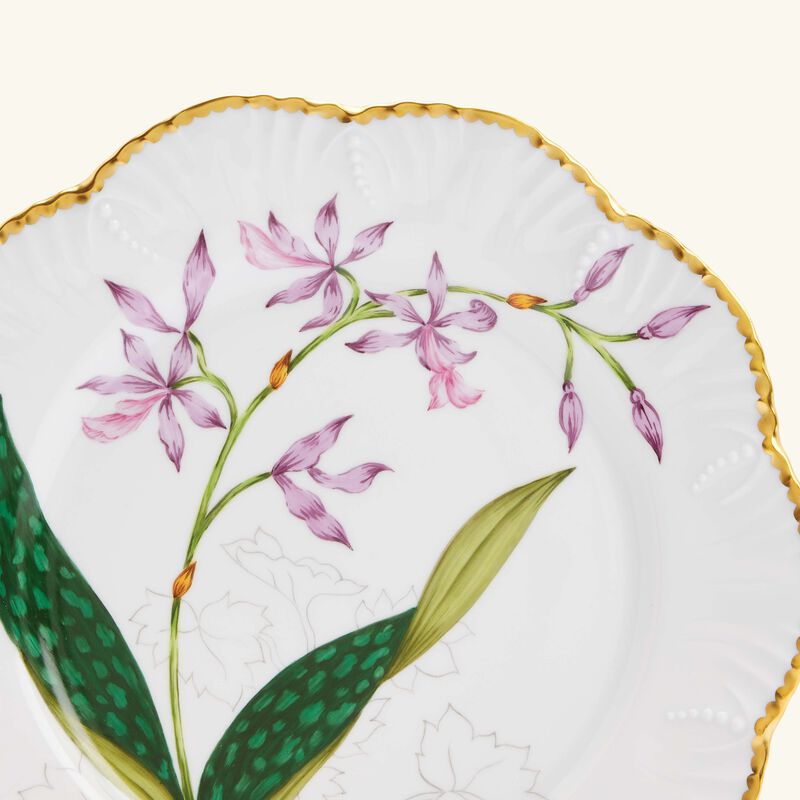pinto paris histoires d orchidees dinner plate round green 26cm