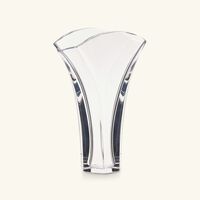 باكارا مزهرية جينكو صغيرة شفافة