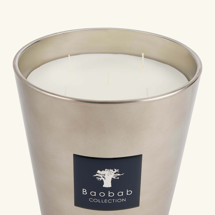 Les Exclusives Platinum Candle Max 24 baobab collection les exclusives platinum candle max 24