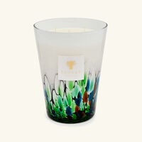 Rainforest Amazonia Candle Max 24 baobab collection rainforest amazonia candle max 24