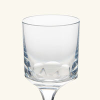 baccarat narcisse wine glass clear set of 2