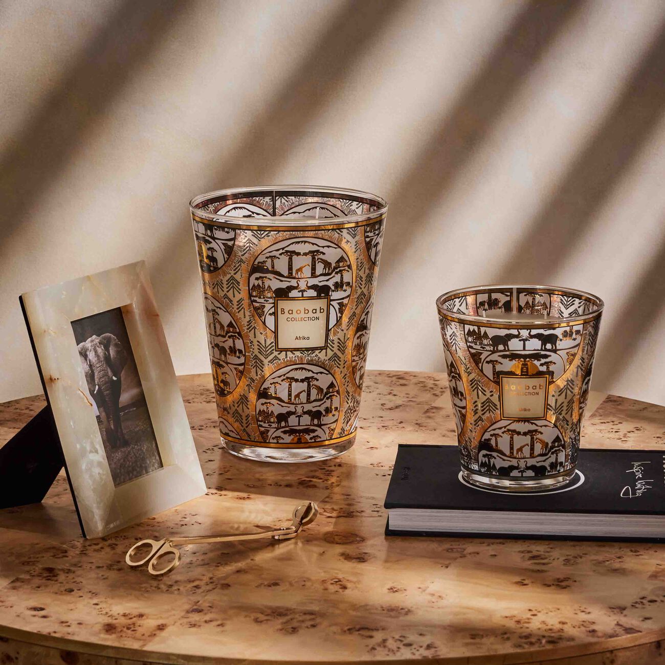 باوباب شمعة أفريكا ماكس 24