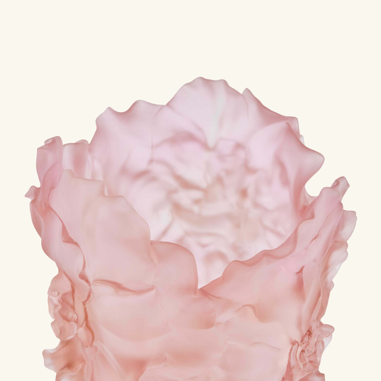 دوم مزهرية كاميليا كبيرة وردية بإصدار محدود