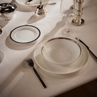 كريستوفل وعاء حساء مالميزون باللون الفضي 19 سم