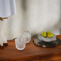 وعاء سيربان شفاف لاليك وعاء سيربان شفاف