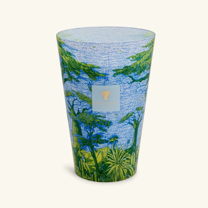 baobab collection sacred trees yarani candle max 35