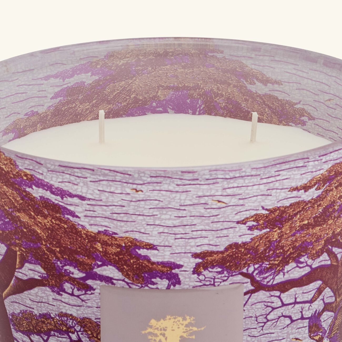 باوباب شمعة سيكرد تريز ماساسو ماكس 16