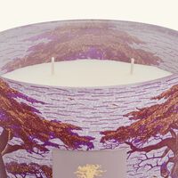 باوباب شمعة سيكرد تريز ماساسو ماكس 16