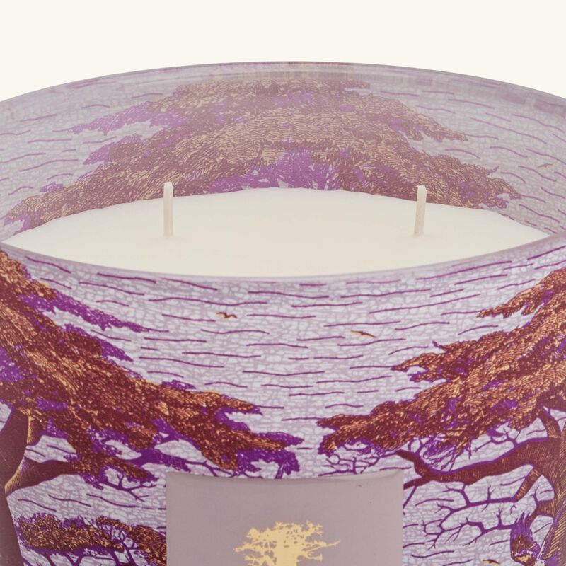 باوباب شمعة سيكرد تريز ماساسو ماكس 16