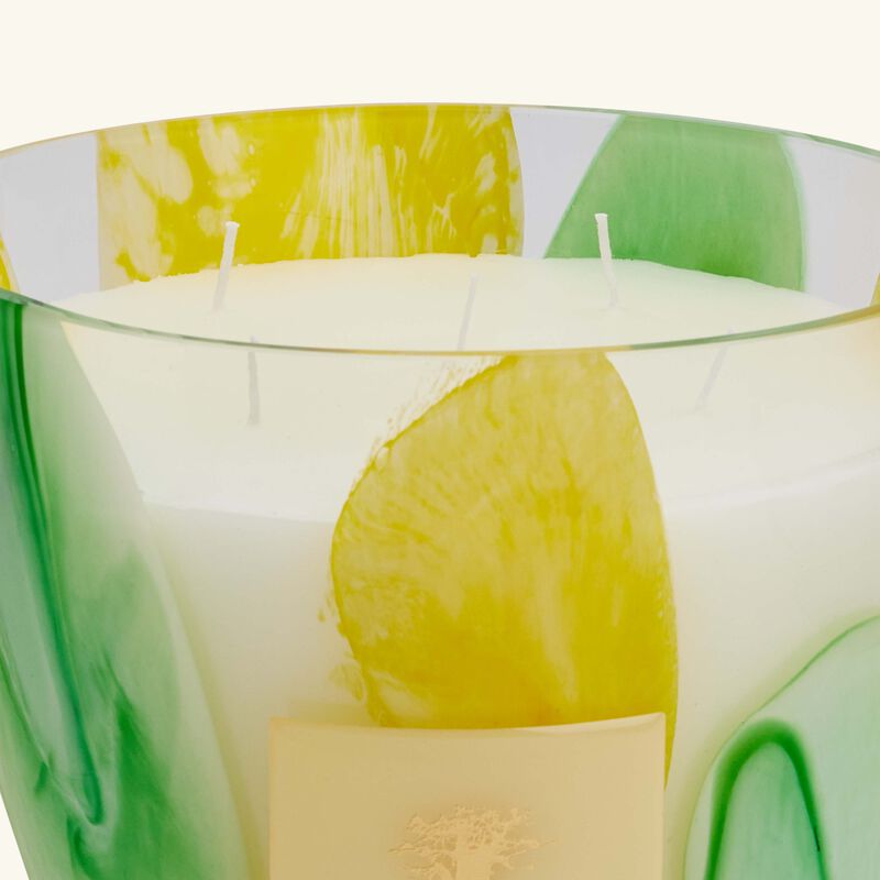 باوباب شمعة ريفييرا سانتو سوسبير ماكس 24