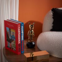 assouline cartagena grace book  33x25cm