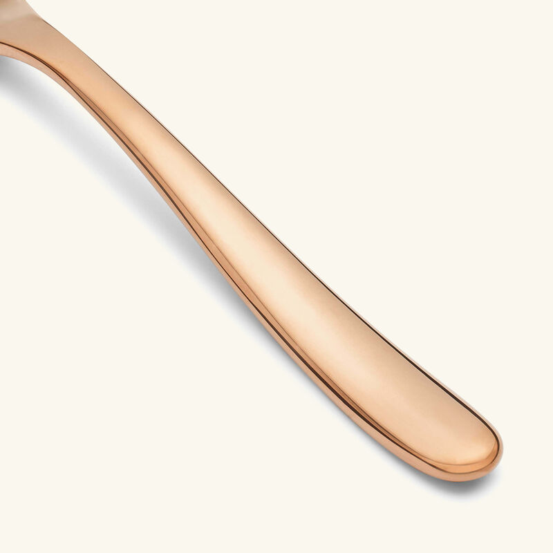 شوكة السمك لامخ دو فيش وردية كريستوفل شوكة السمك لامخ دو فيش وردية