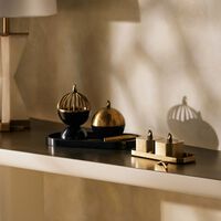 إيرا أودايبور طقم أشوا مخواص مؤلف من علبتين لحفظ التوابل باللون الذهبي   مصمم كهدية