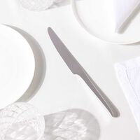 l ame de christofle dinner knife stainless steel