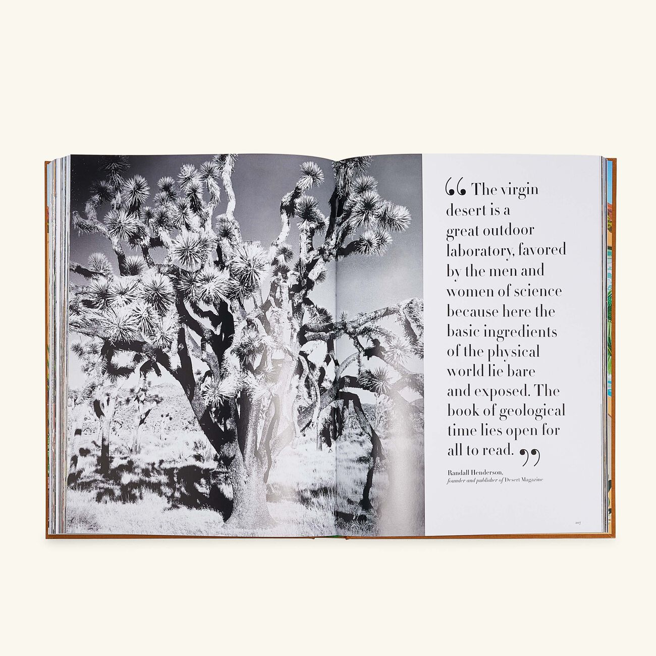 آسولين كتاب بالم سبرينجز 33   25 سم