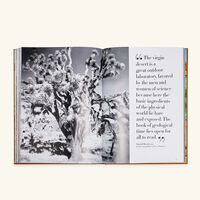 آسولين كتاب بالم سبرينجز 33   25 سم