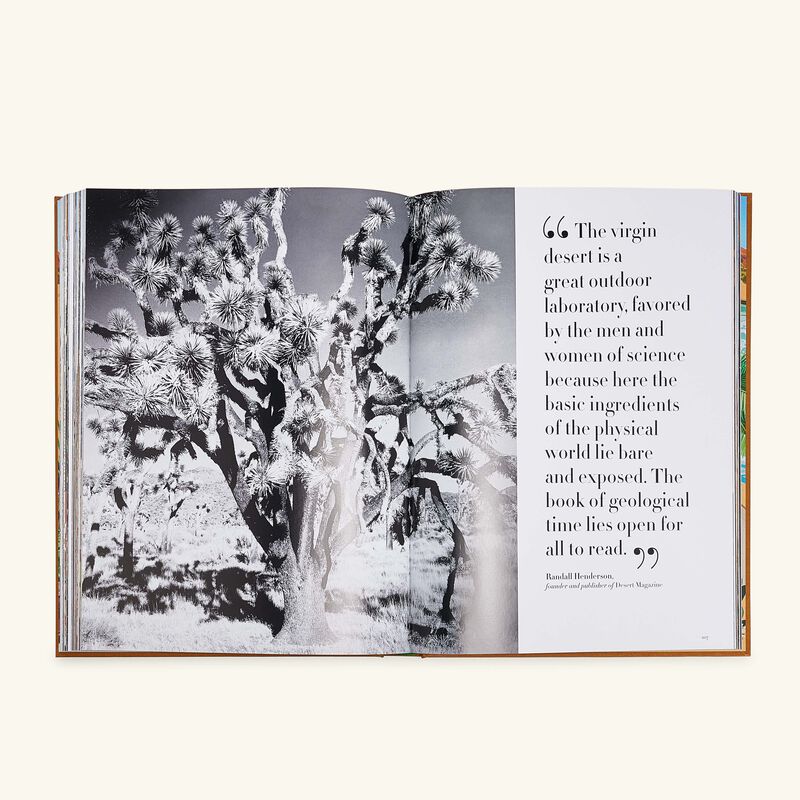 آسولين كتاب بالم سبرينجز 33   25 سم