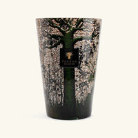 Sacred Trees Kani Candle Maxi Max baobab collection sacred trees kani candle maxi max