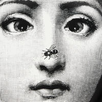 fornasetti tema e variazioni no 363 wall plate