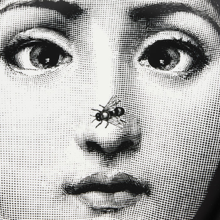 fornasetti tema e variazioni no 363 wall plate