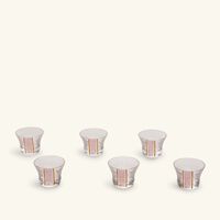 dimlaj nagham arabic coffee cup pink set of 6