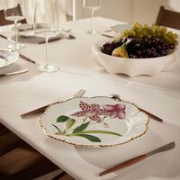 بينتو باريس طبق الطعام إيستوار دوركيديه دائري 26 سم