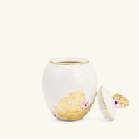 villari acapulco sugar bowl white