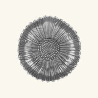 Daisy Bowl Medium Silver buccellati daisy bowl medium silver