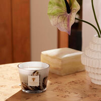 Oceania Anangu Candle Max 10 baobab collection oceania anangu candle max 10