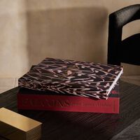 كتاب صقور المملكة العربية السعودية 48x39 سم آسولين كتاب صقور المملكة العربية السعودية 48x39 سم