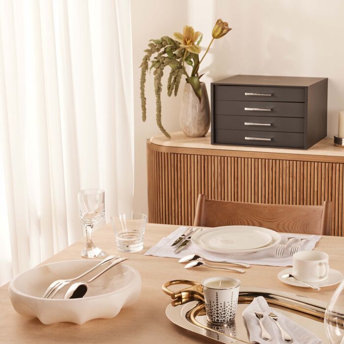 كريستوفل طقم الفضيات آلبي  110 قطع  مع صندوق إمبريال باللون الفضي