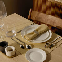 catherine denoual camel napkin beige