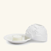 مصباح ليثوفاني جاردينيا فلاور برناردو مصباح ليثوفاني جاردينيا فلاور